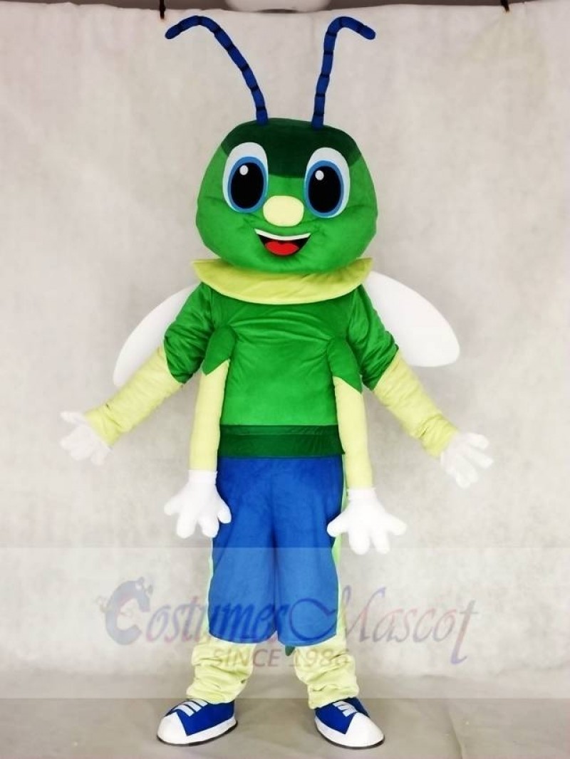 Green Firefly Mascot Costumes Insect