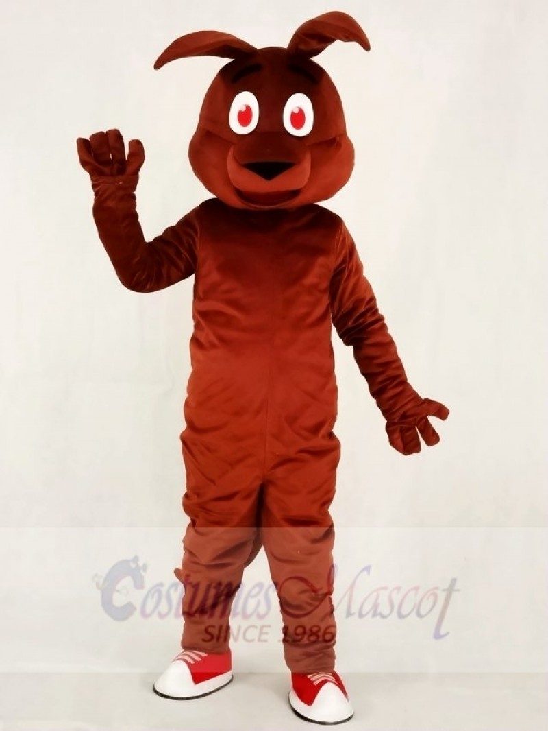 Friendly Kangaroo Mascot Costumes Animal