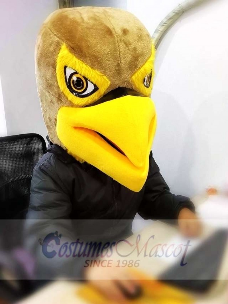 New Brown and Yellow Hawk / Falcon Mascot Head ONLY Animal