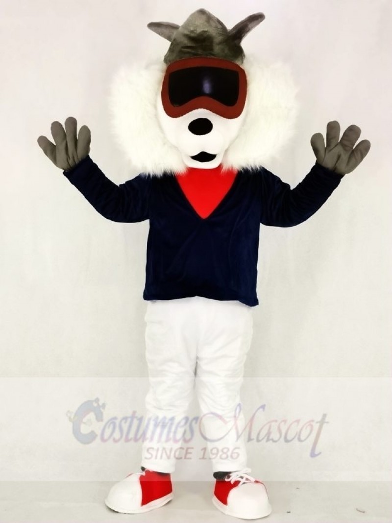 Alley Cat Mascot Costumes Animal 