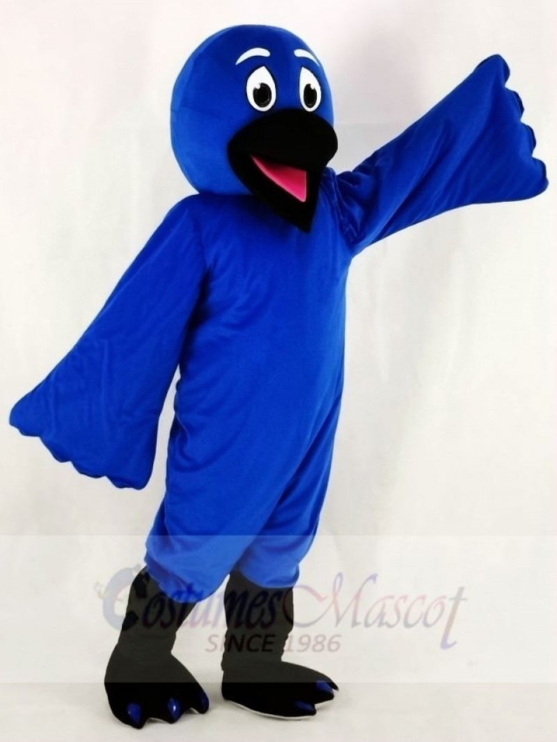 Blue Bird Raven Mascot Costumes Animal