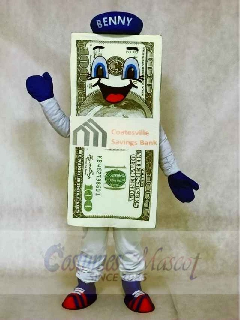 Dollar Bill for Bank Mascot Costumes with Hat