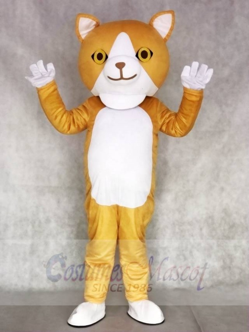 Happy Cat Mascot Adult Costumes Animal