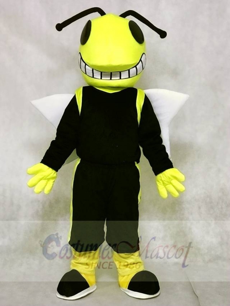 Yellow and Black Hornets Mascot Costumes Insect 