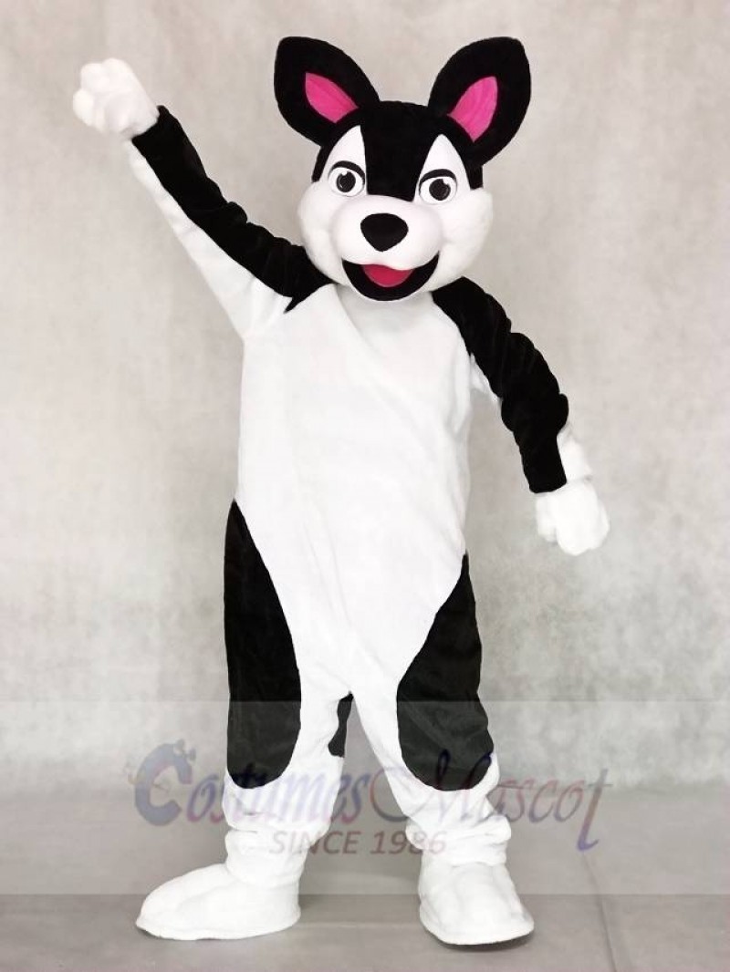 Black and White Husky Dog Mascot Costumes Animal