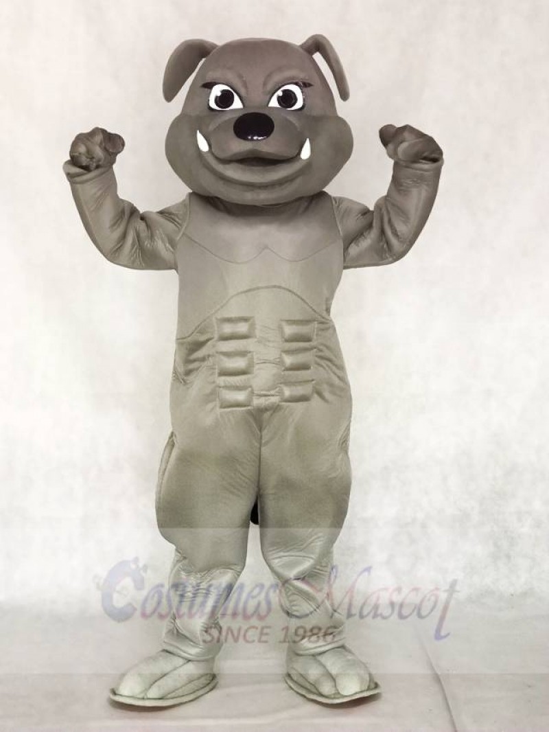 Grey Bulldog Mascot Costumes Animal 