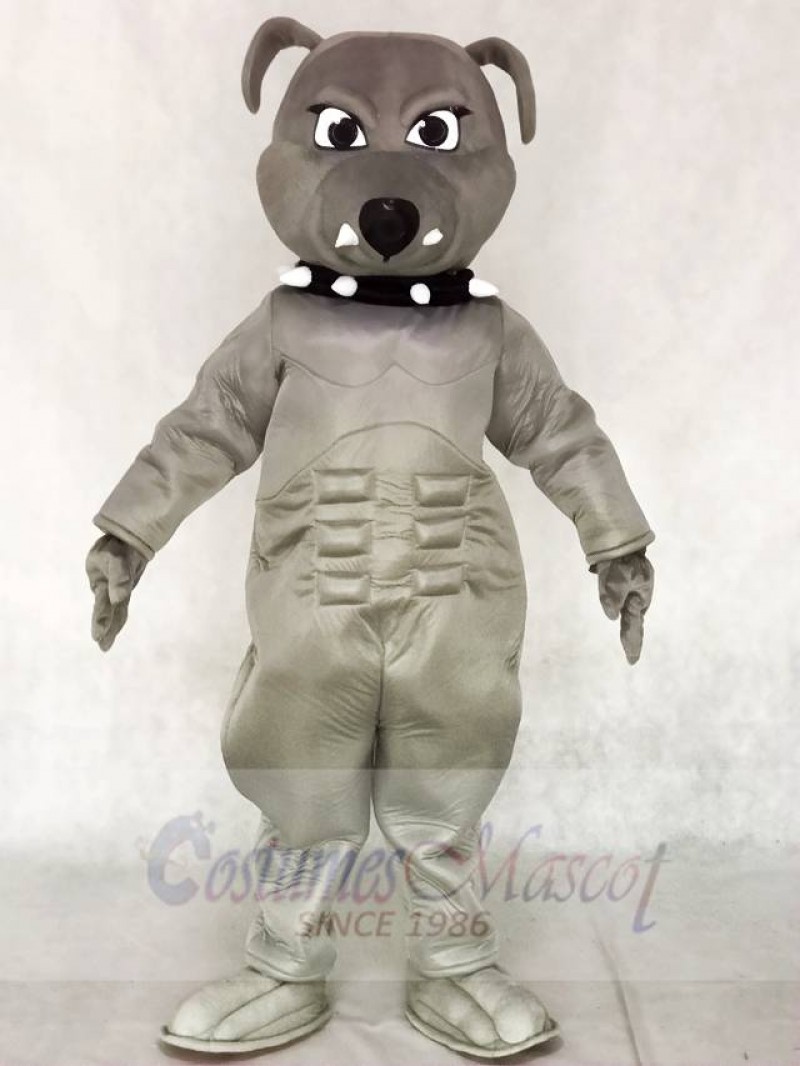 Grey Bulldog Mascot Costumes Animal 