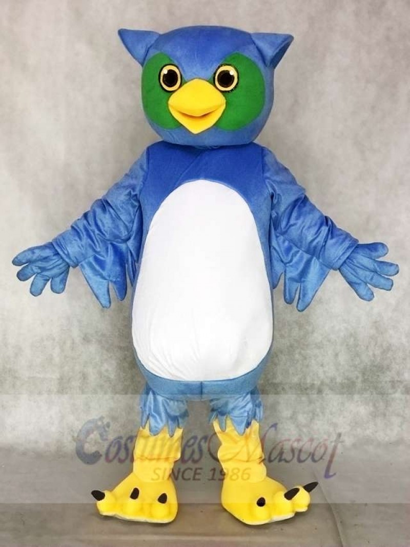 Cute Blue and Green Owl Mascot Costumes Animal