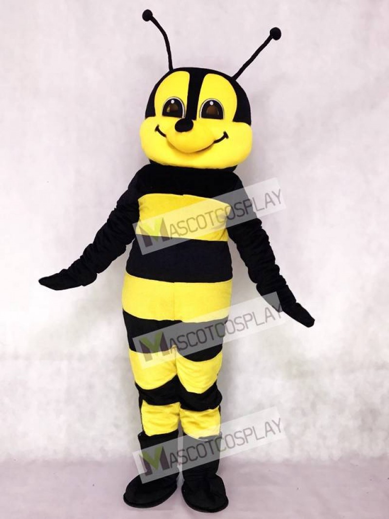 Friendly Bee Mascot Costume