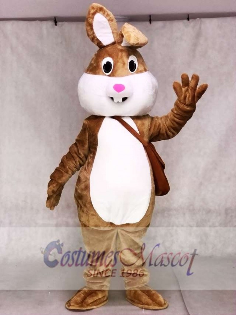 Cute Easter Bunny Rabbit Mascot Costumes Animal