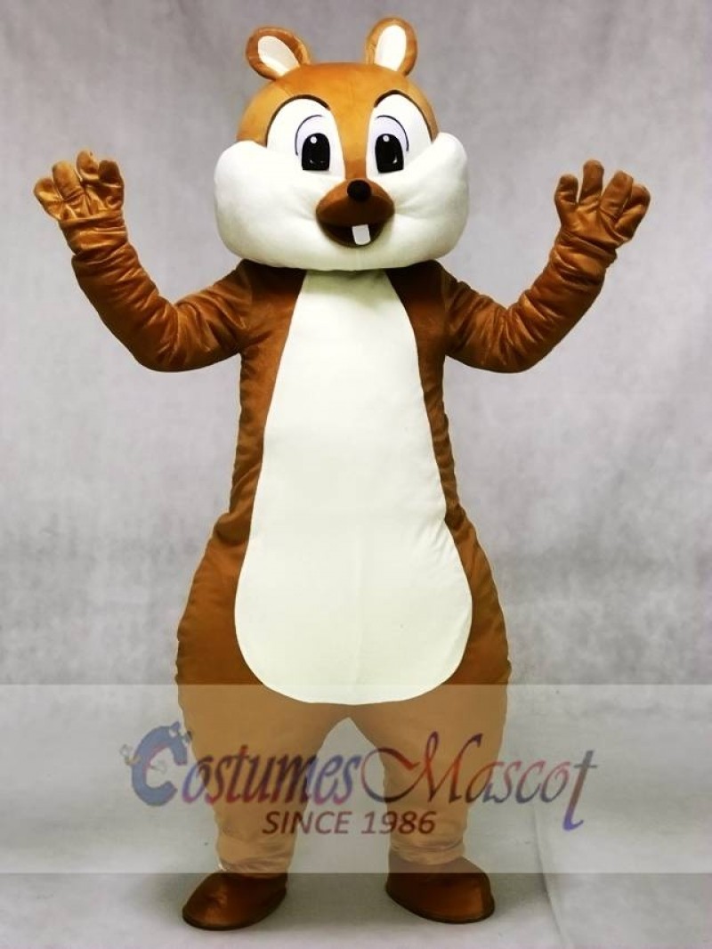 Cute Squirrel Mascot Costumes Forest Animal