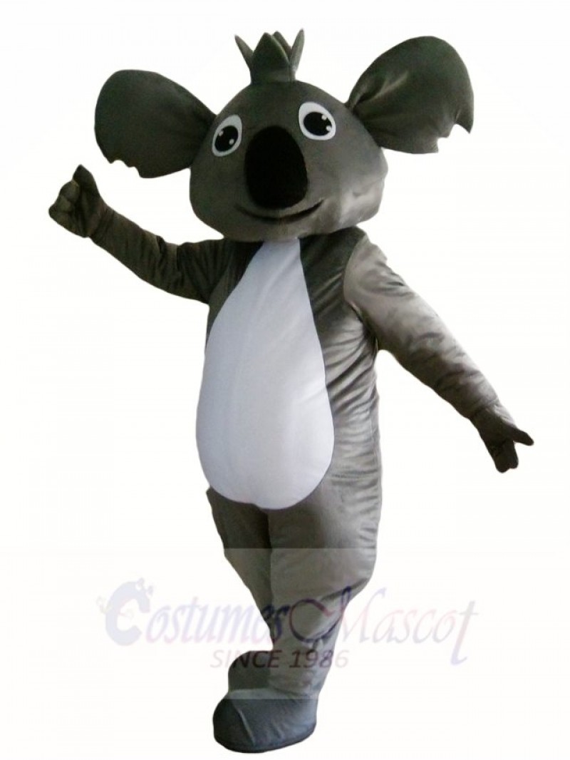 Koala Bear Mascot Costumes Animal