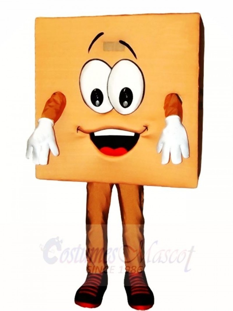 Brown Box Mascot Costumes 