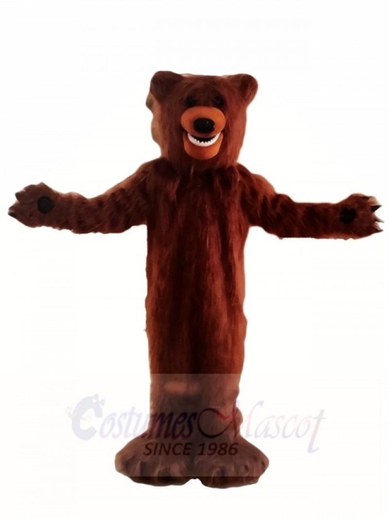 Hairy Brown Bear Mascot Costumes Animal
