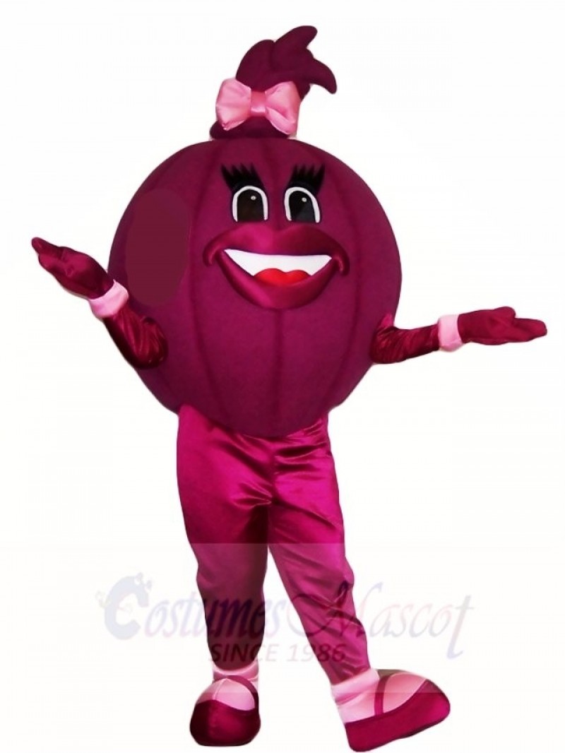 Purple Onion Mascot Costumes Vegetables