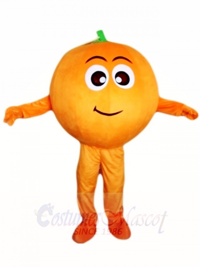 Orange Mascot Costumes Fruit Plant