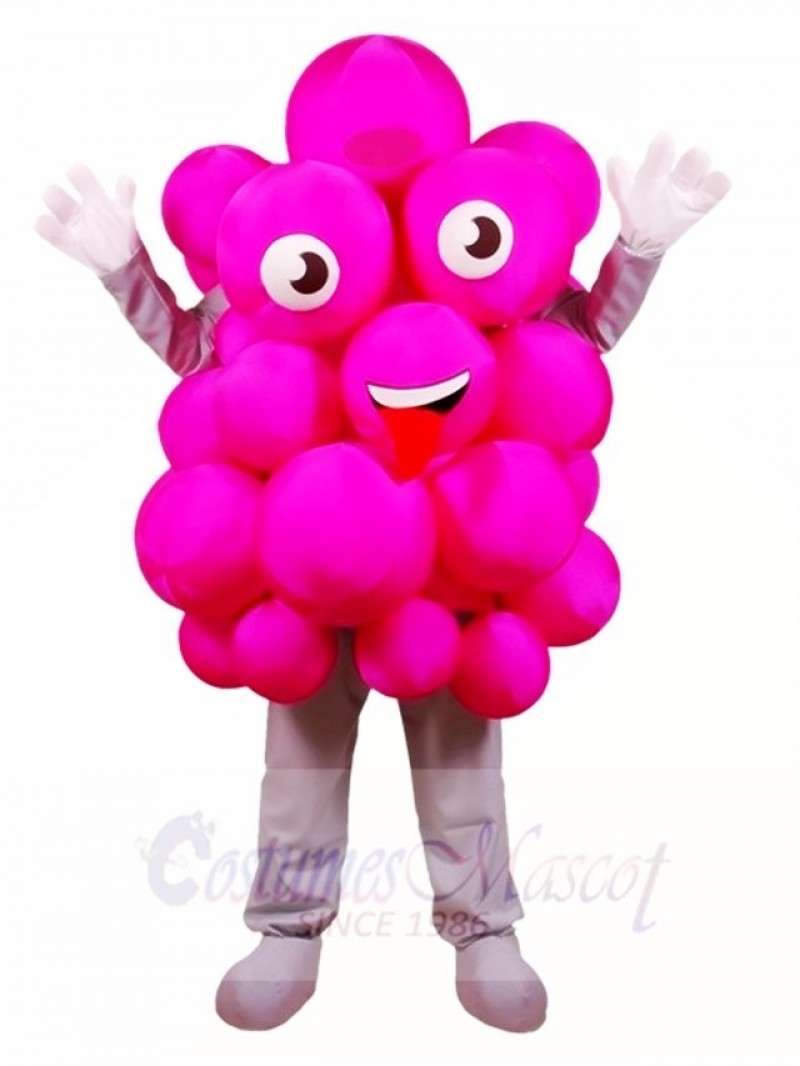 Pink Grapes Mascot Costumes Fruit