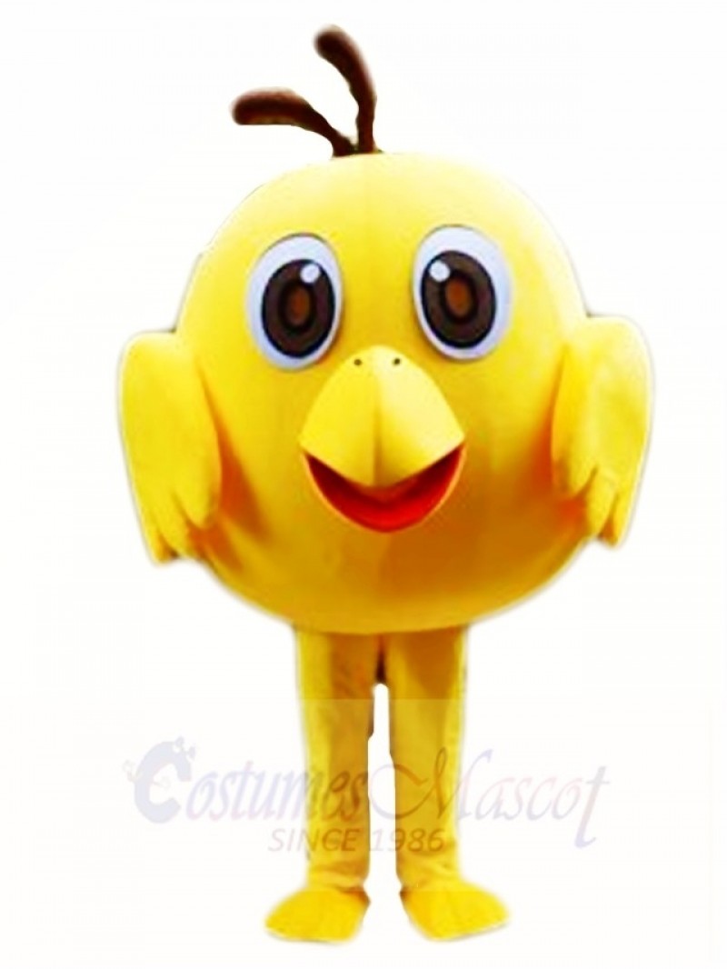 Yellow Chick Mascot Costumes Poultry