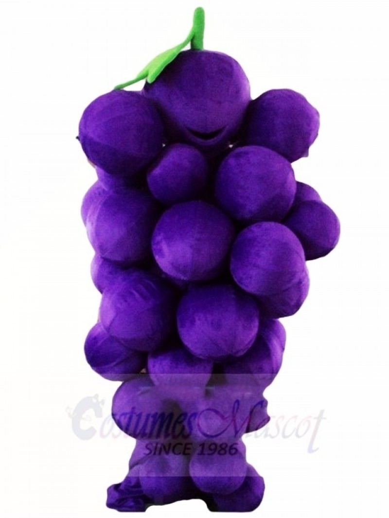 Purple Grape Mascot Costumes Fruit Food