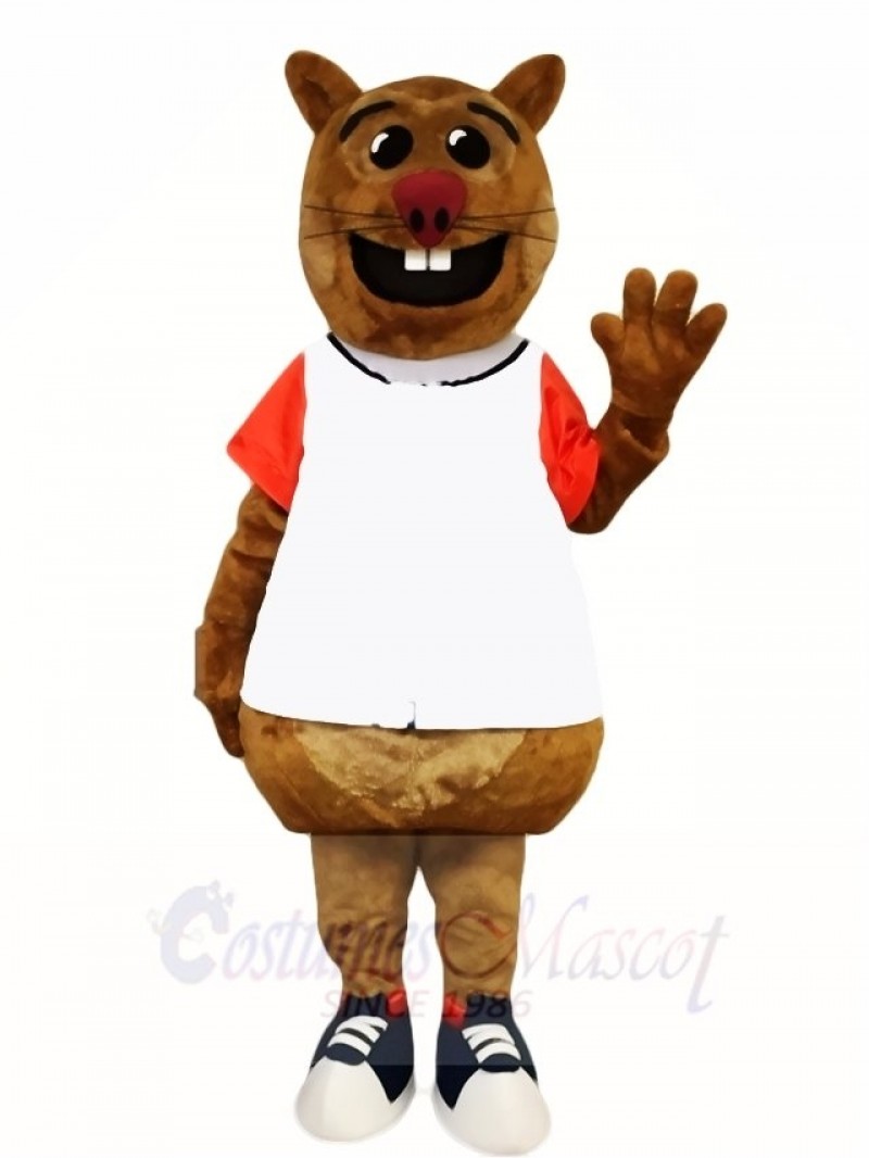 Brown Squirrel Mascot Costumes Animal