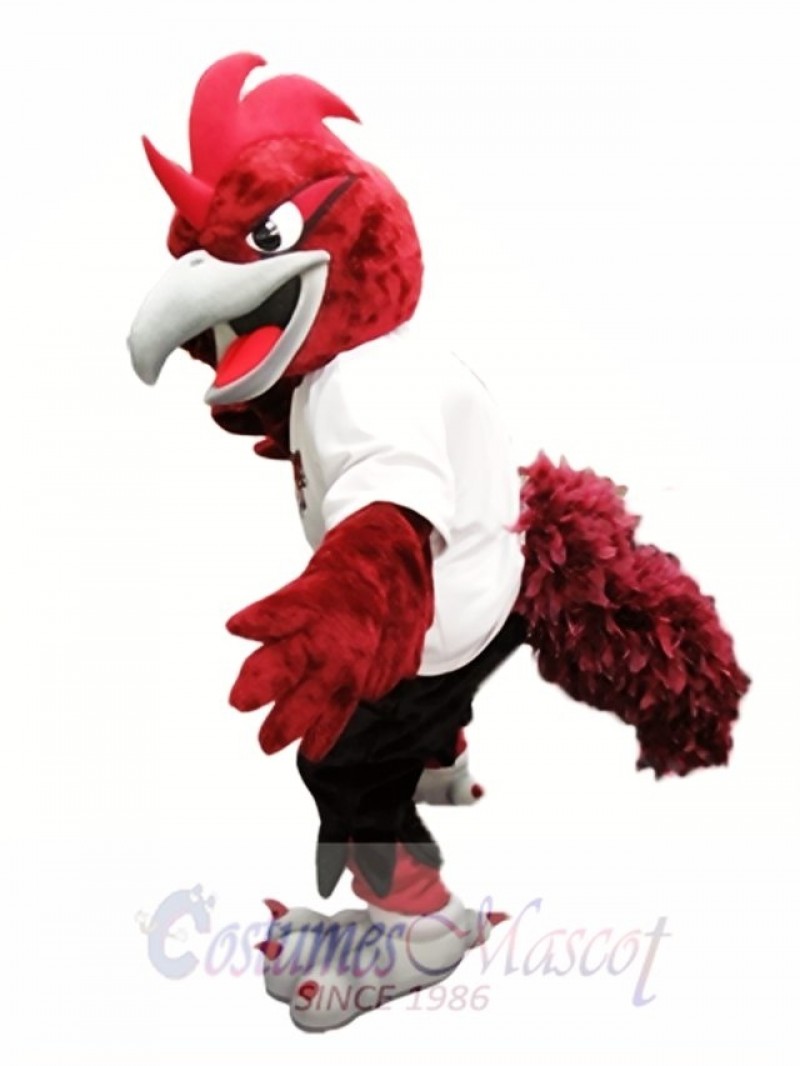 Red Roadrunner Mascot Costume Roadrunners College Mascot Costumes