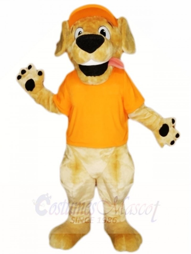 Retriever Dog with Orange Hat and Shirt Mascot Costumes Animal