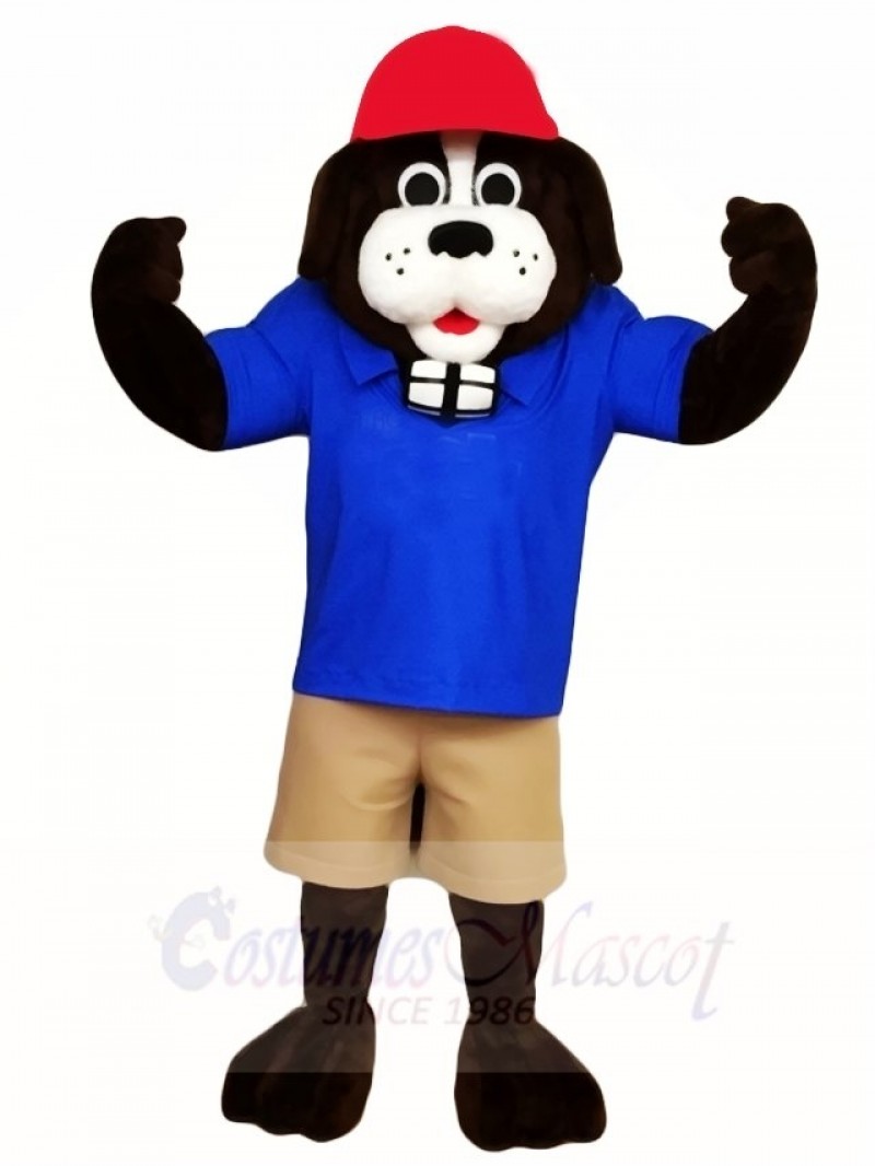 Saint Bernard Dog Mascot Costumes Animal 