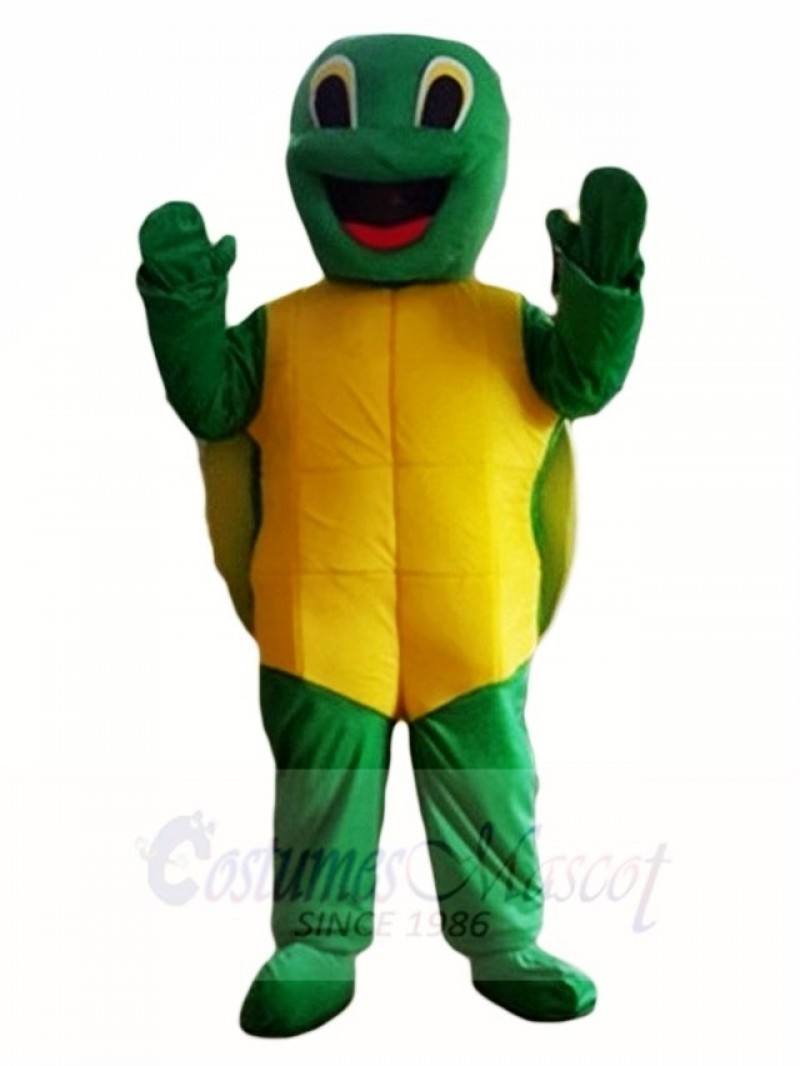 Tortoise Turtle Mascot Costumes Animal