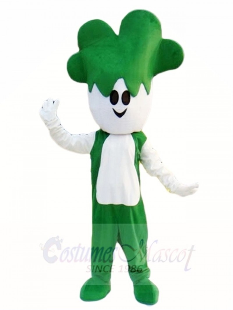 Green Vegetables Cabbage Mascot Costumes Plant 