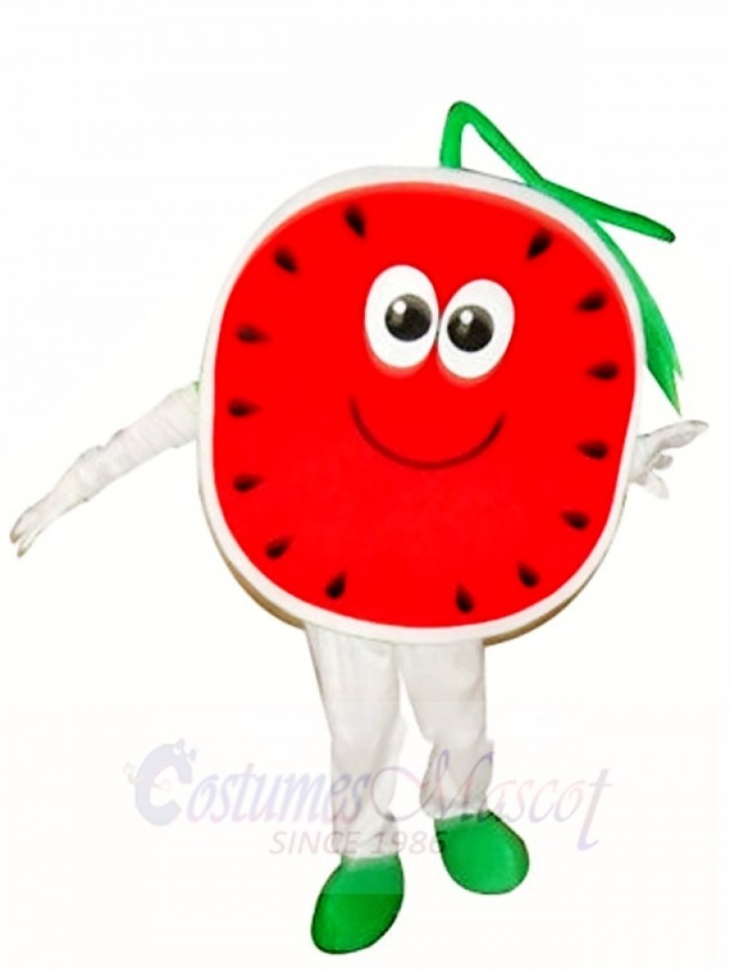 Half a Watermelon Mascot Costumes Fruit