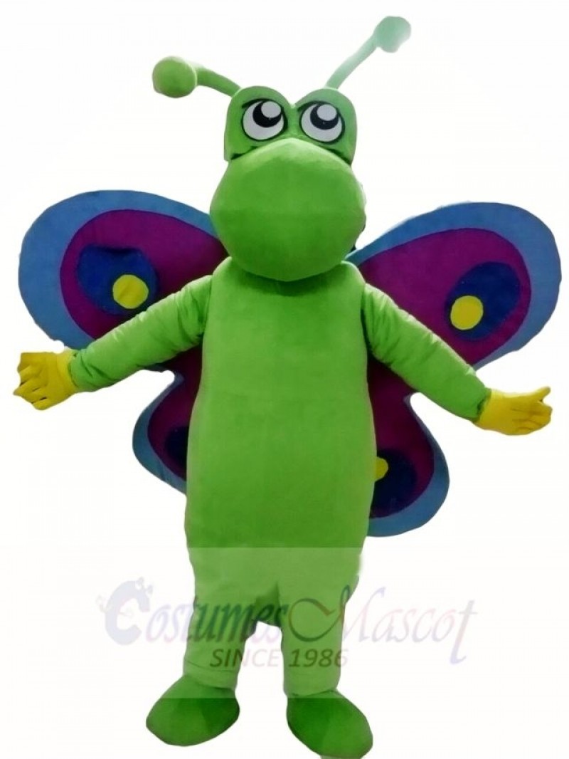 Green Butterfly with Purple and Blue Wings Mascot Costumes Insect 