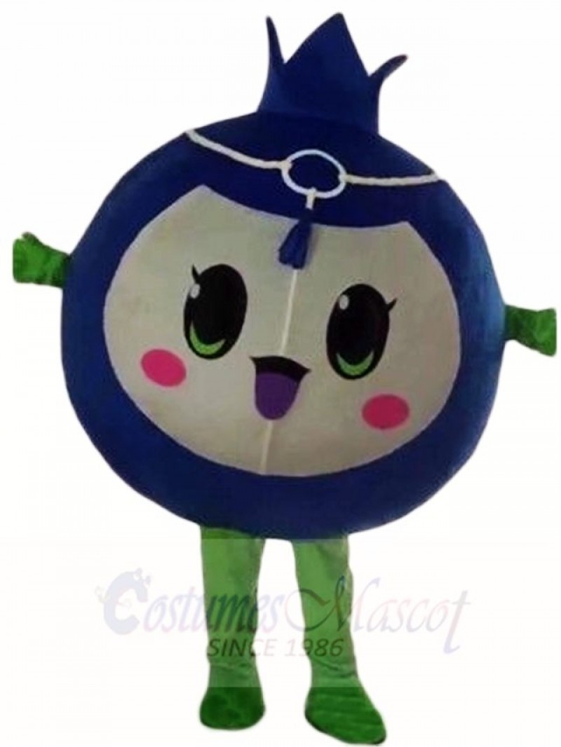 Blueberry Mascot Costumes Fruit