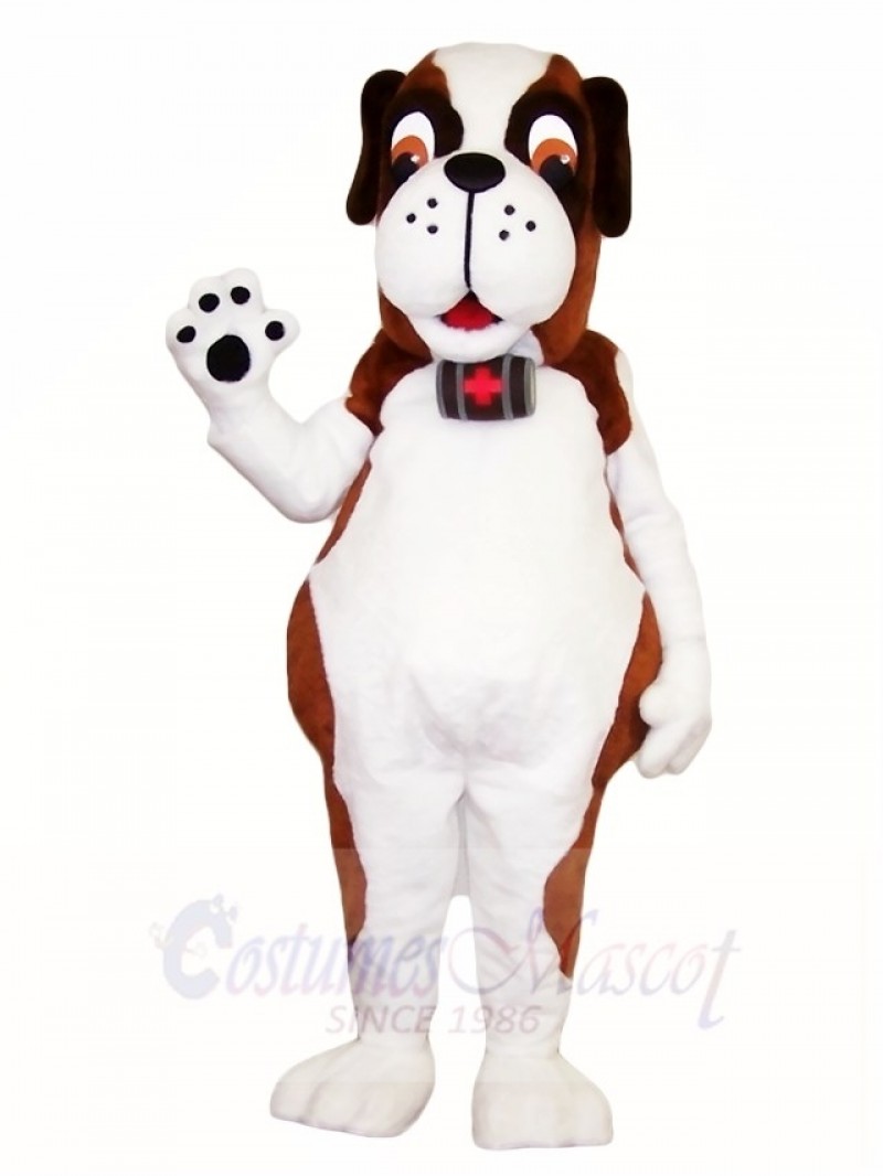 Saint Bernard Doctor Dog Mascot Costumes Animal