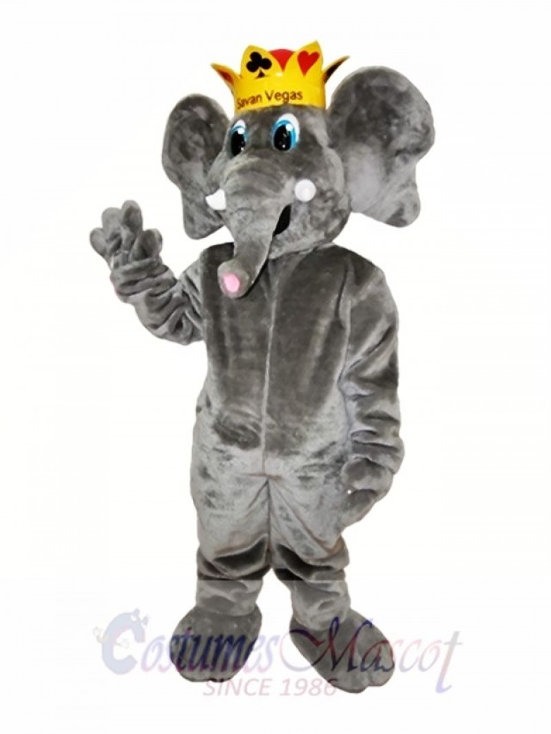 Graue Elefant Maskottchen Kostüm Graue Elefant Maskottchen Kostüme