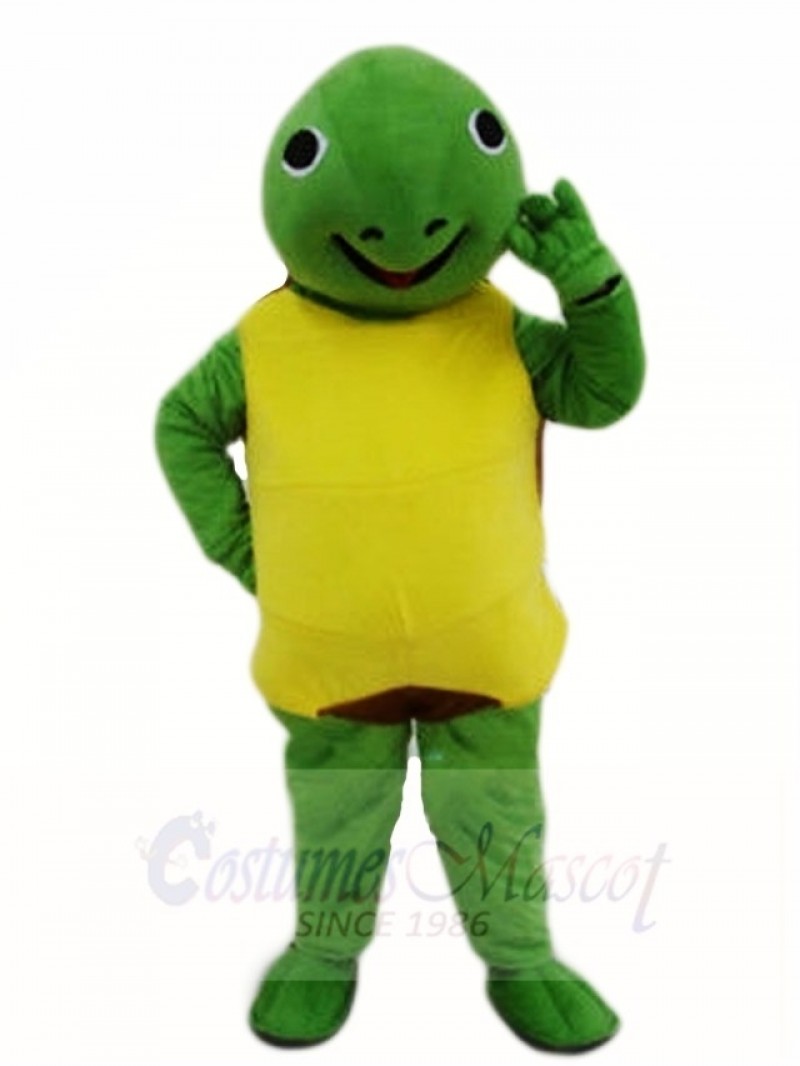 Sea Turtle Mascot Costumes Sea Ocean