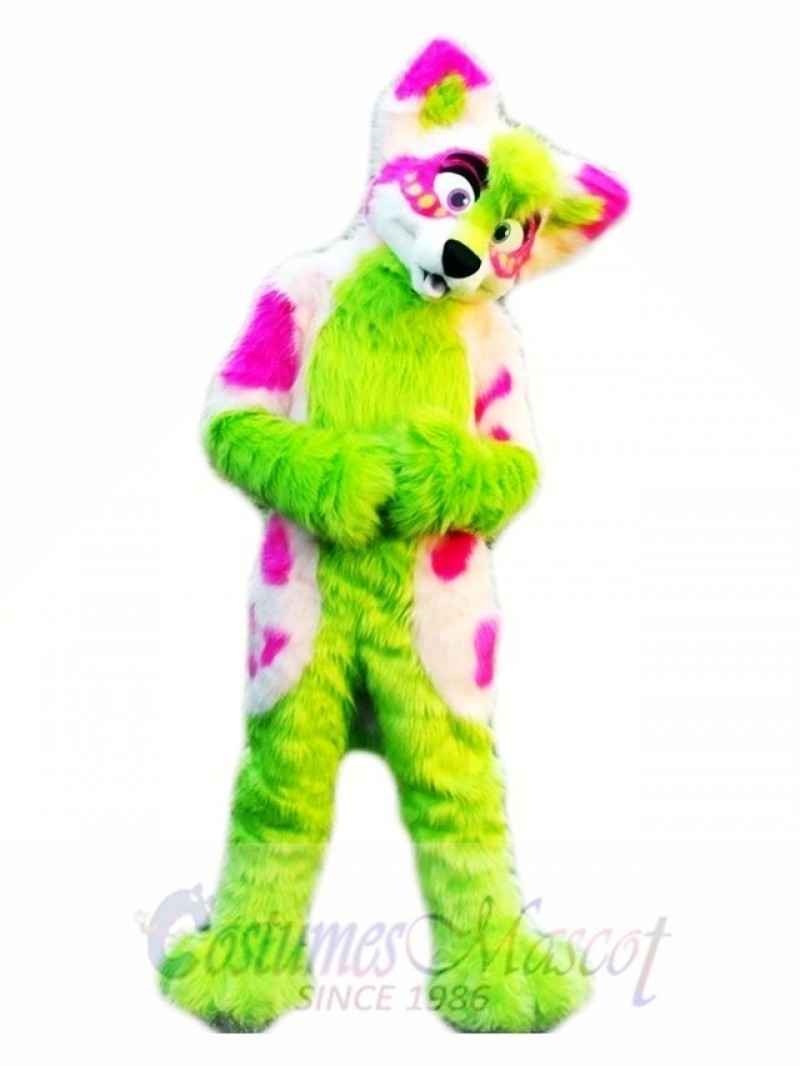 Furry Fursuit Husky Dog Wolf Mascot Costumes Animal