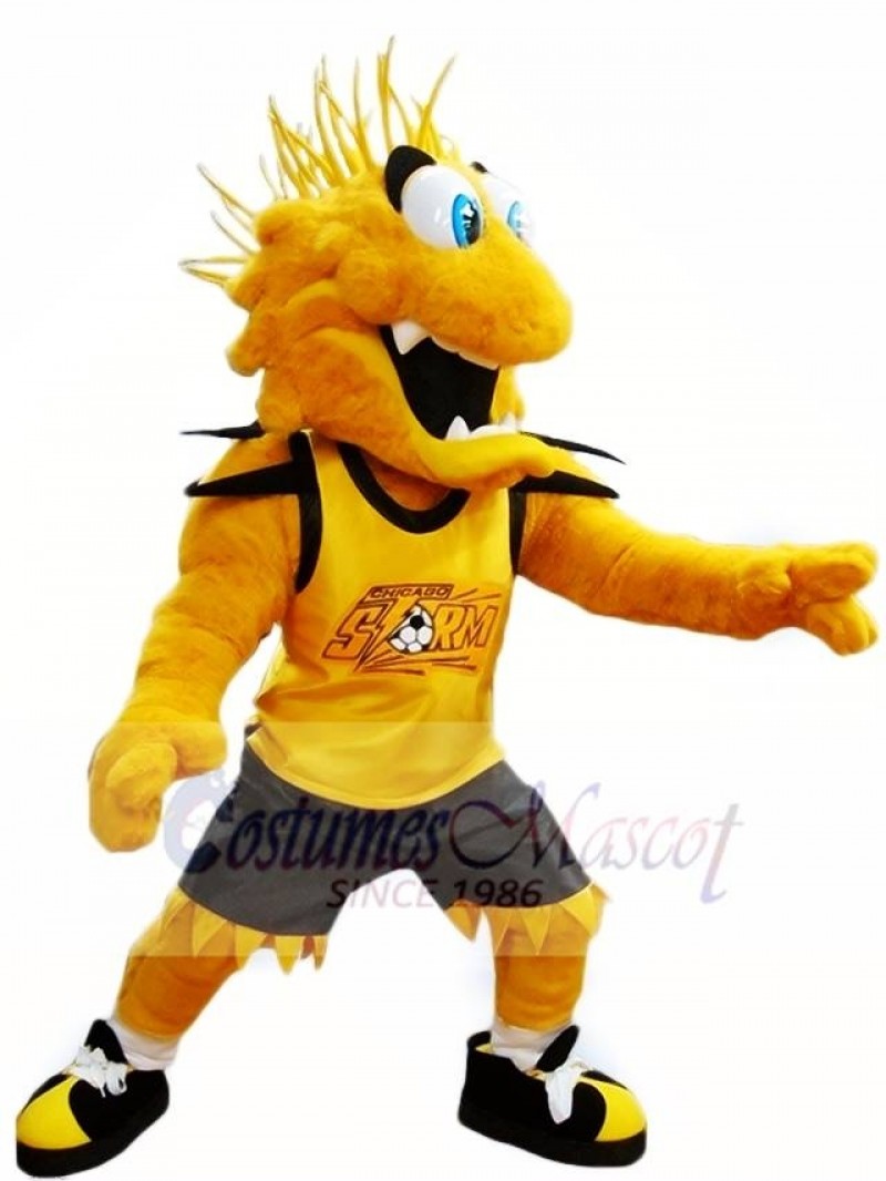 Yellow Storm Mascot Costumes