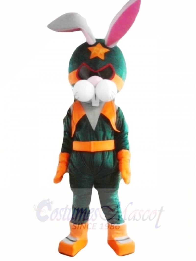 Rabbit Astronauts Space Mascot Costumes Animal