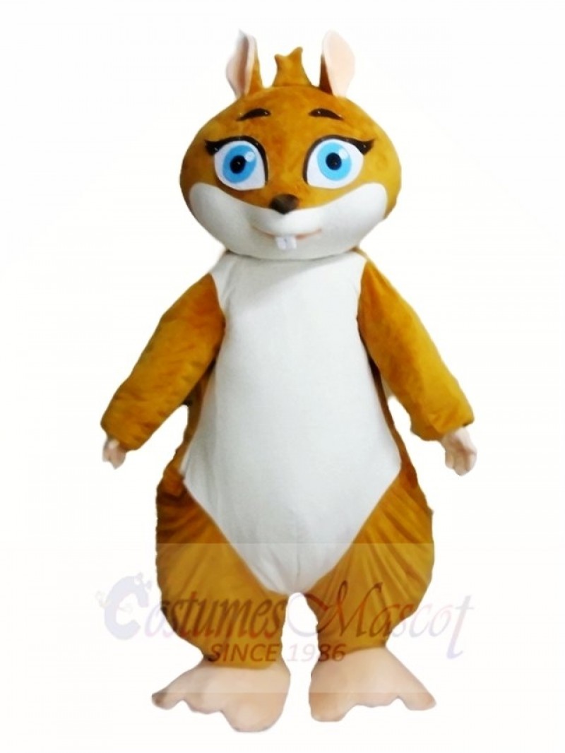 Walking Actor Squirrel Mascot Costumes Animal