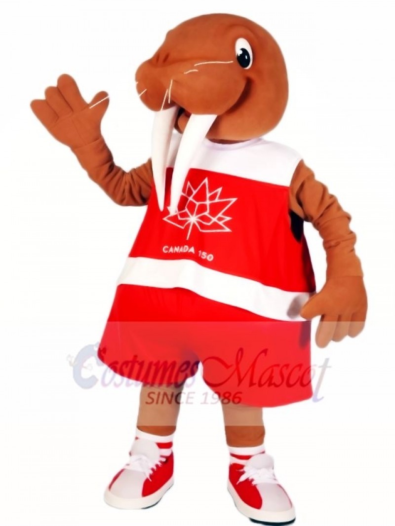 Walrus Mascot Costumes Ocean