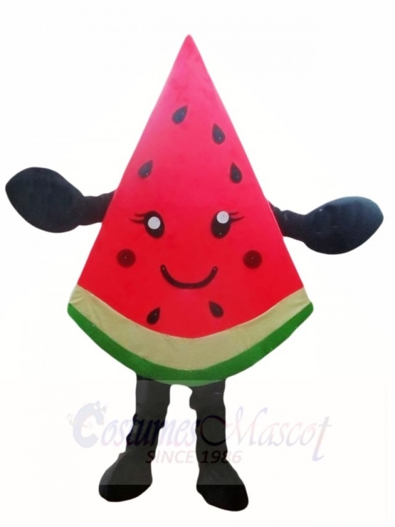 Watermelon Slice Mascot Costumes Fruit