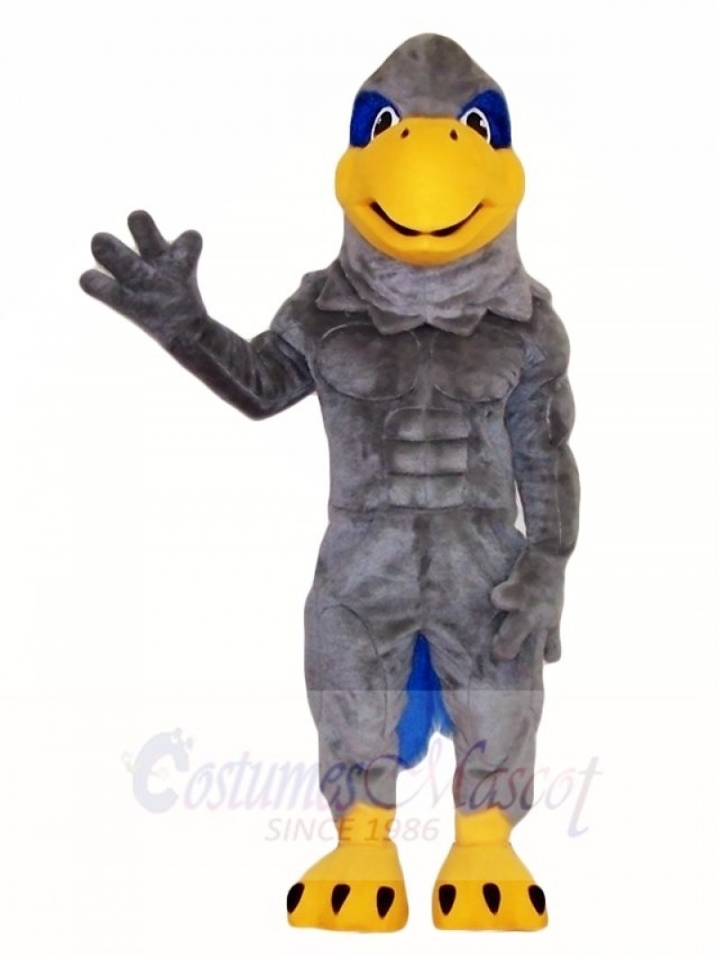 Gray Hawk Mascot Costumes Bird Animal 