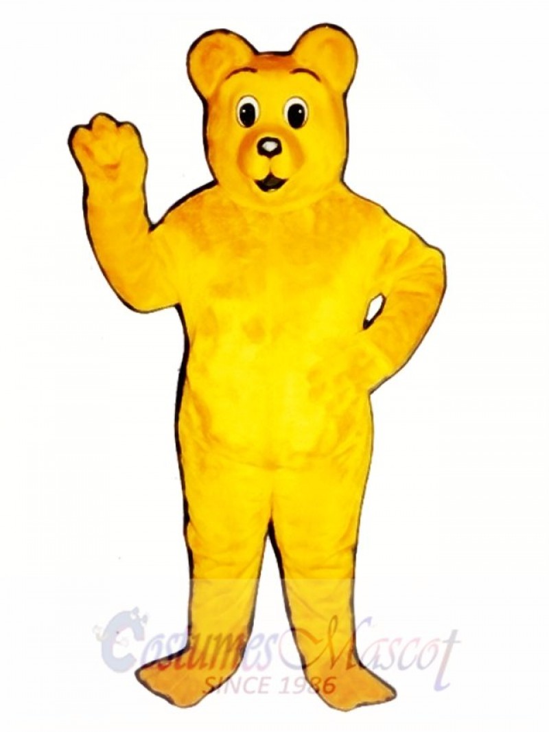 Little Boy Bear Mascot Costume