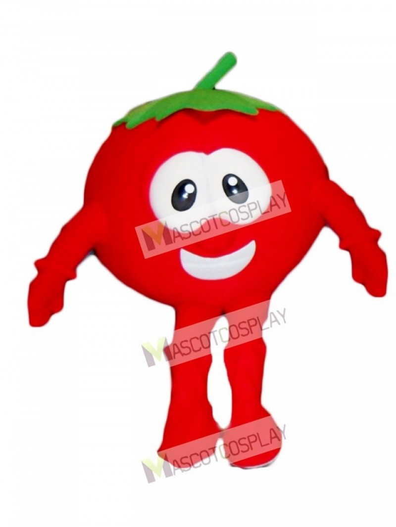 Bob the Tomato Mascot Costume from VeggieTales