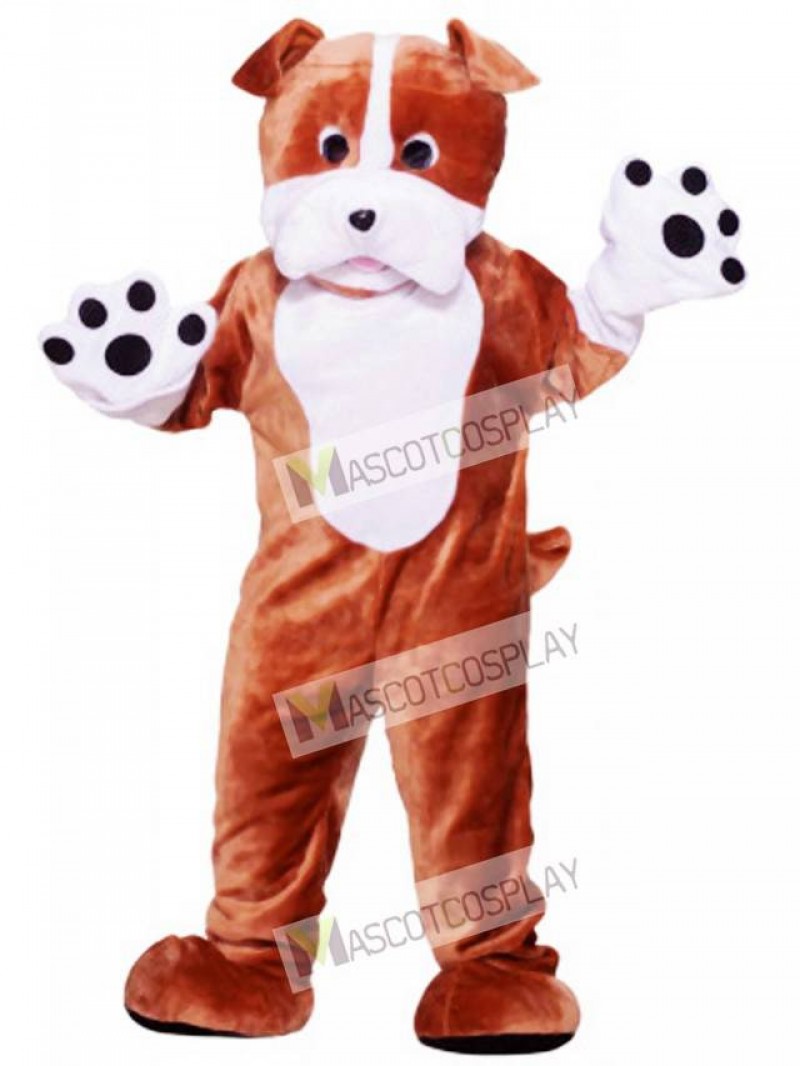 Dog Bulldog Adult Mascot Funny Costume