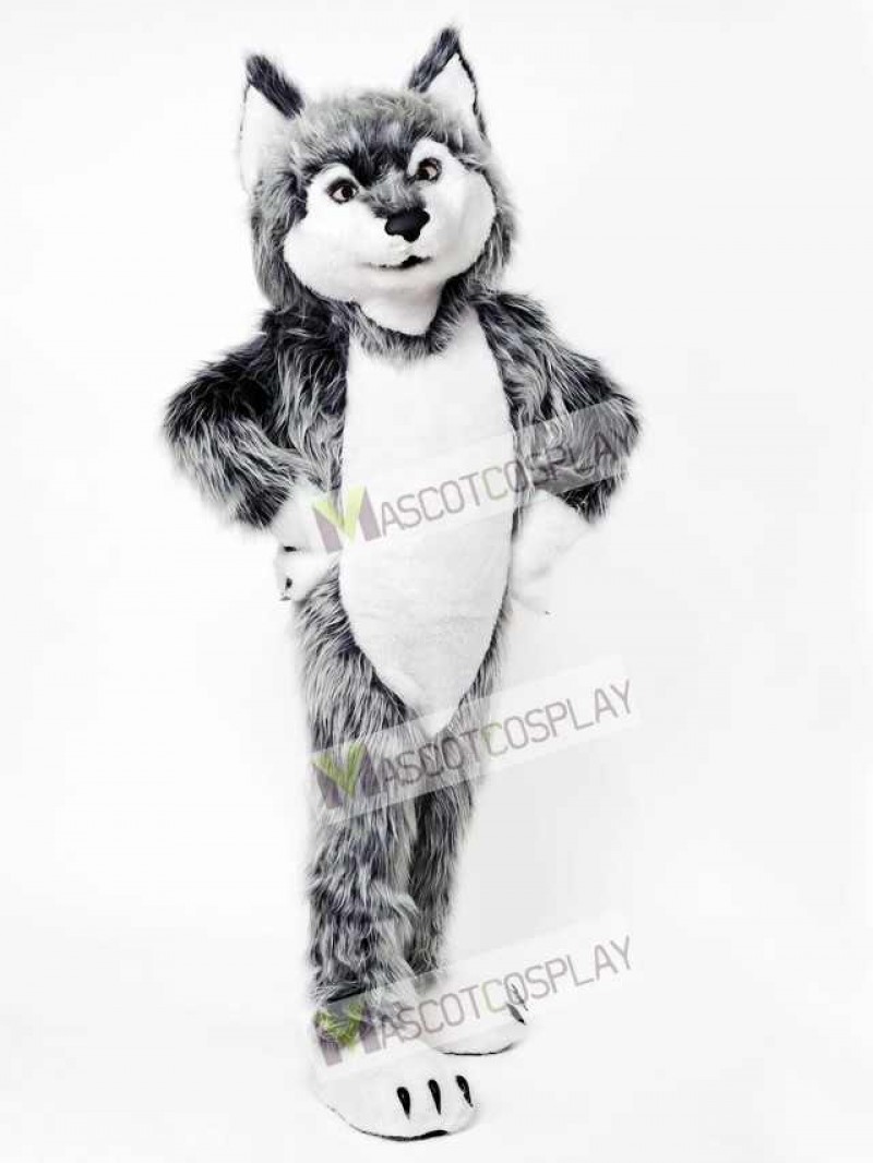 Gray Wolf Mascot Costume