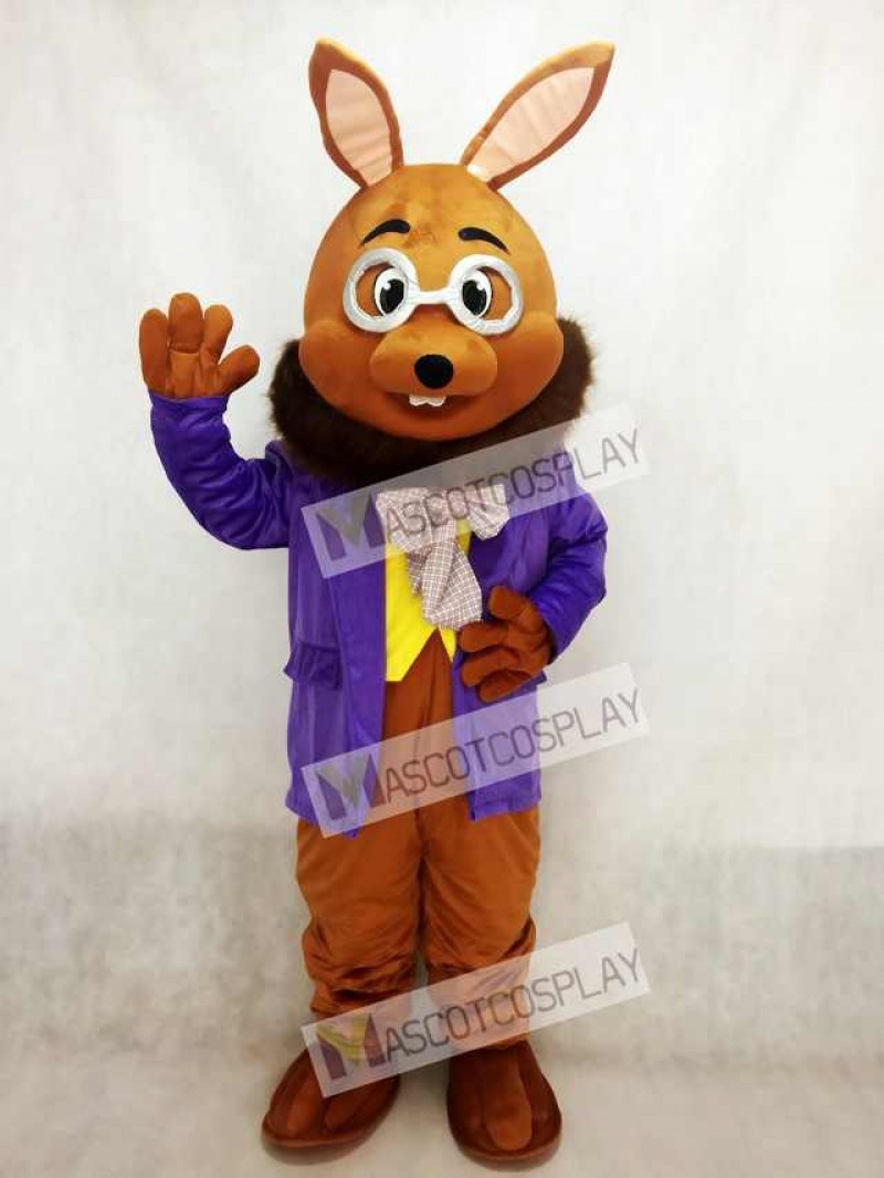 Easter Mr. Brown Bunny with Purple Tuxedo Mascot Costume