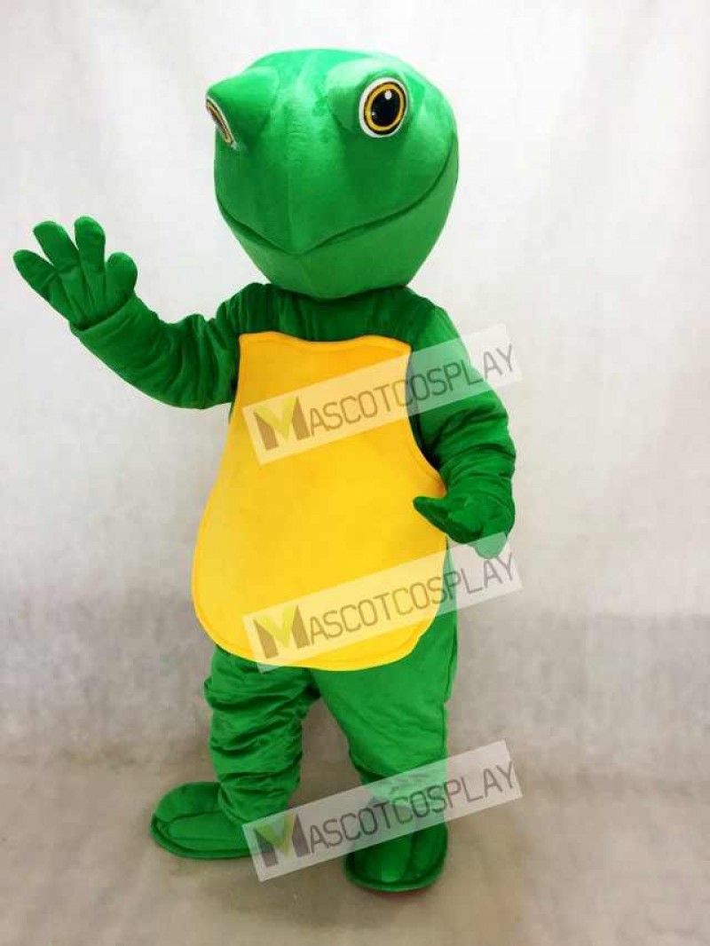 Green Turtle Mascot Costume