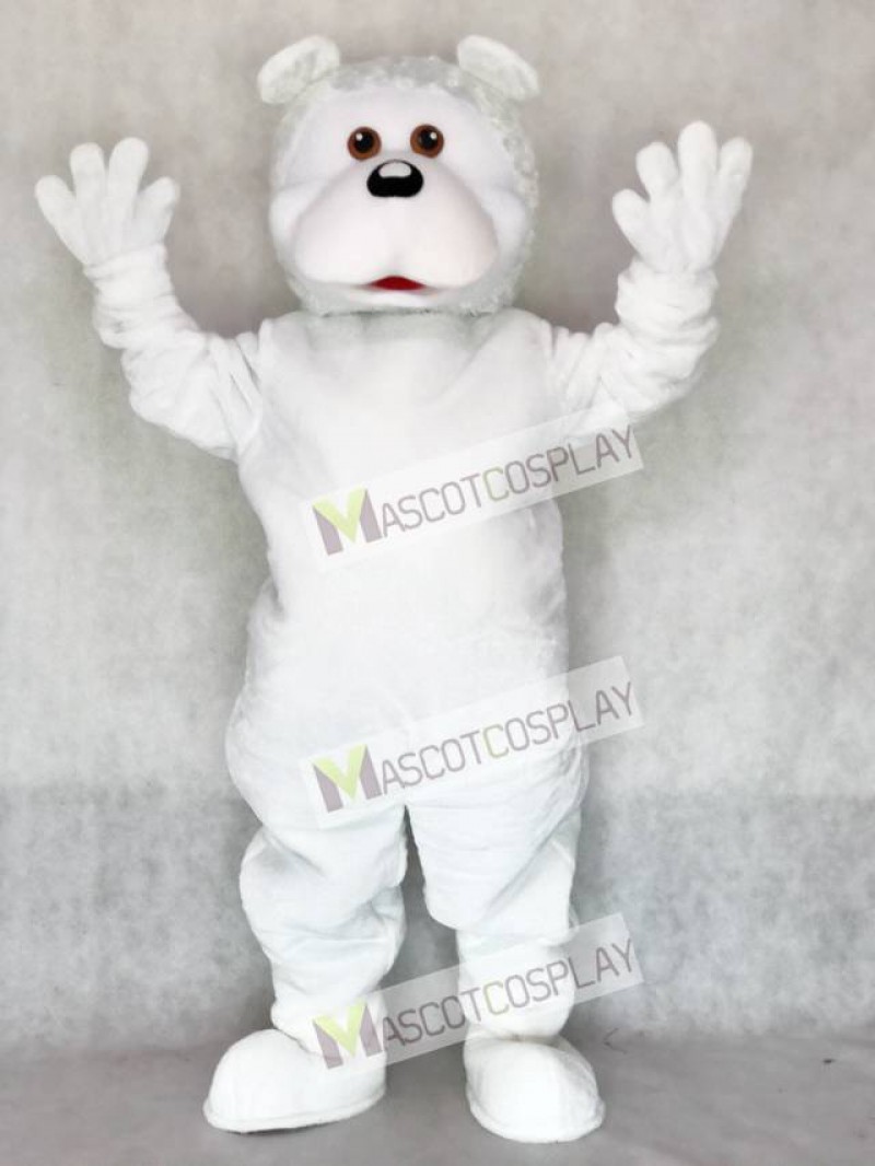 White Bear Adult Mascot Costume