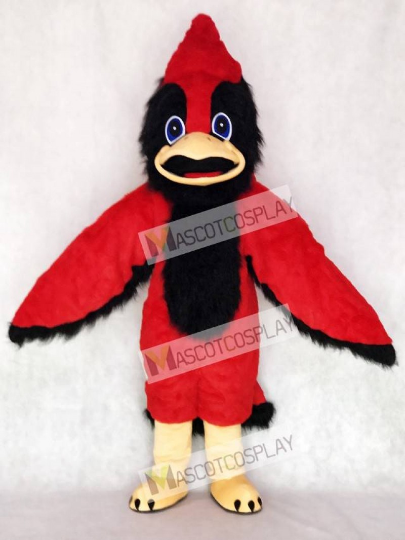 Cute Big Red Bird Mascot Costume